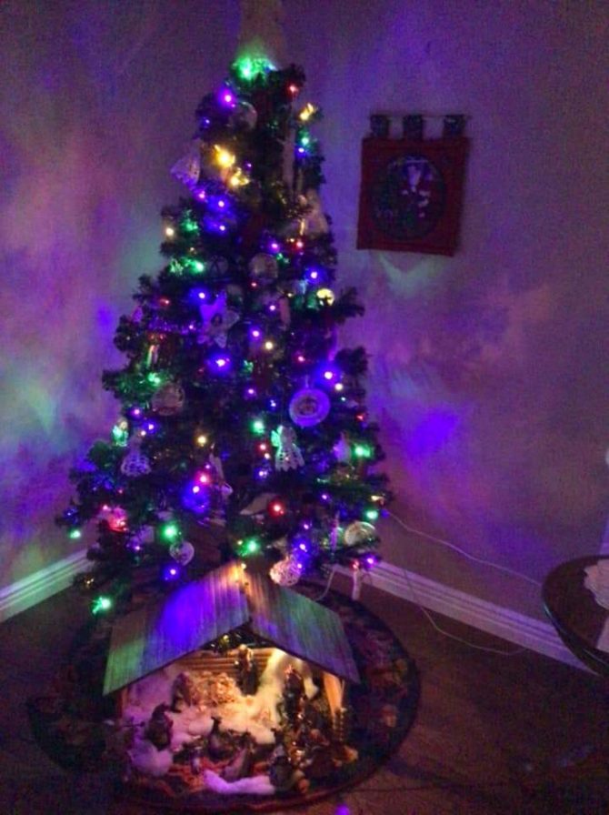 Small christmas tree with lights on
